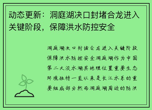 动态更新：洞庭湖决口封堵合龙进入关键阶段，保障洪水防控安全