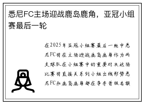 悉尼FC主场迎战鹿岛鹿角，亚冠小组赛最后一轮